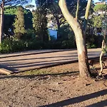 Lovely Апартаменты *