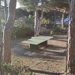 Lovely سانت ماكسيم