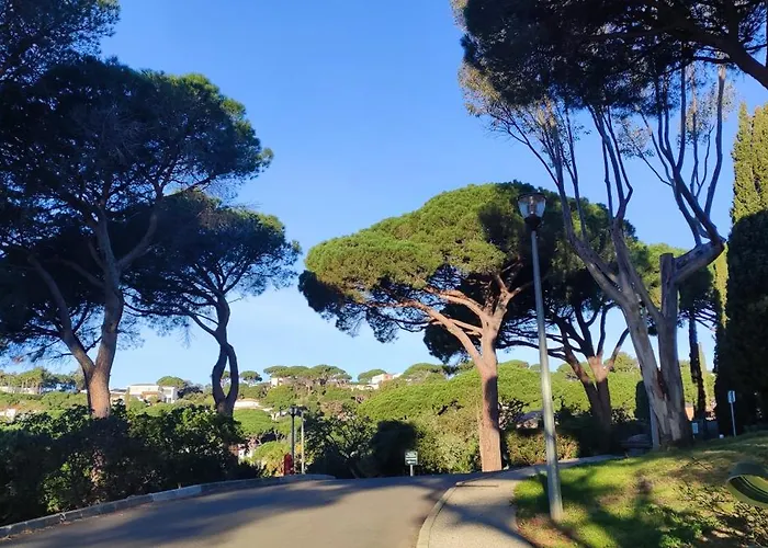 Lovely Apartamento *